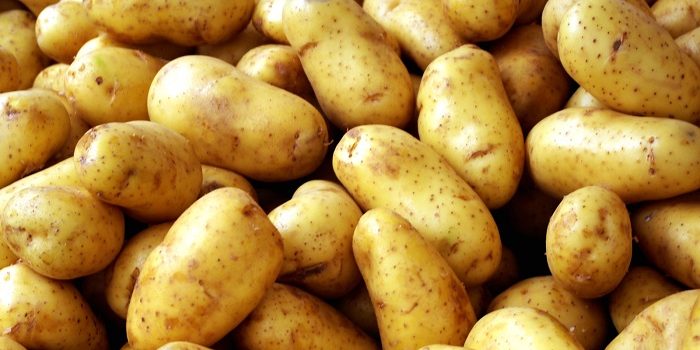 filise-ta-80-lepta-i-timi-tis-freskias-patatas-amaliadas-66833