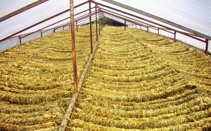 ptosi-21-sti-viomichaniki-paragogi-to-2020-afxisi-ypsous-331-stin-paragogi-proionton-kapnou-65131