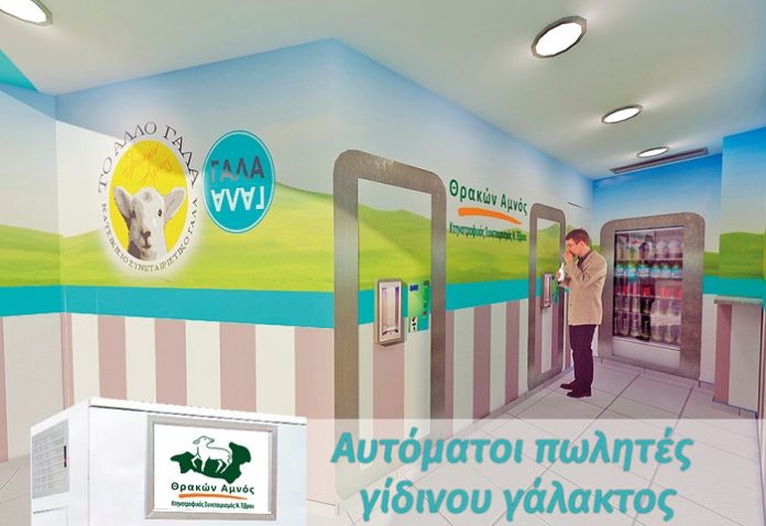 Έτοιμα να λειτουργήσουν το τυροκομείο και το ΑΤΜ γίδινου γάλακτος του «Θρακών Αμνός» Έτοιμα να λειτουργήσουν το τυροκομείο και το ΑΤΜ γίδινου γάλακτος του «Θρακών Αμνός»