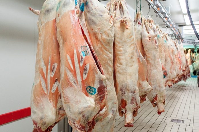 Στα 3,8 - 4 ευρώ το κιλό διαμορφώνεται η τιμή παραγωγού στο αρνί Στα 3,8 - 4 ευρώ το κιλό διαμορφώνεται η τιμή παραγωγού στο αρνί