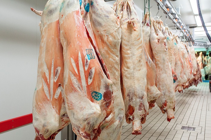 sta-38-4-evro-to-kilo-diamorfonetai-i-timi-paragogou-sto-arni-65166