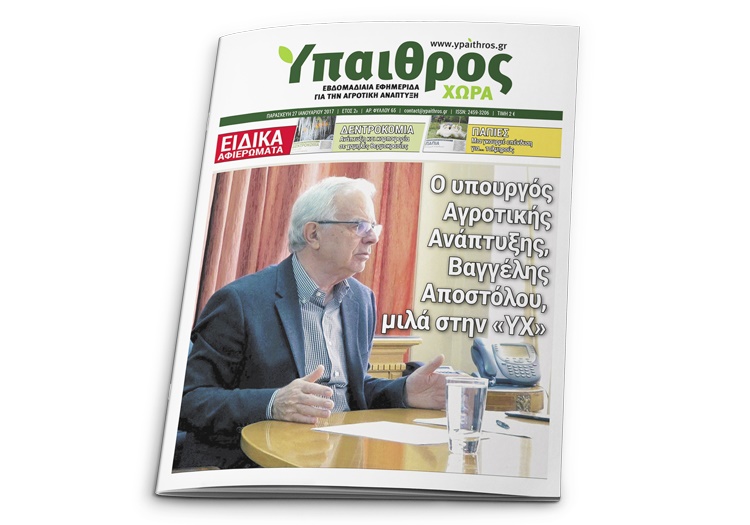 synentefxi-apostolou-vasiki-mas-proteraiotita-i-meiosi-tou-kostous-paragogis-72681