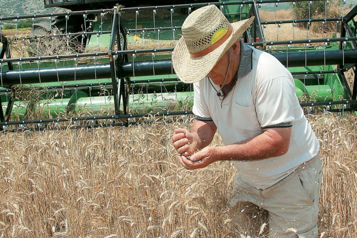 Σε μηνιαίες δόσεις η εξόφληση καθυστερούμενων εισφορών στον ΕΦΚΑ Σε μηνιαίες δόσεις η εξόφληση καθυστερούμενων εισφορών στον ΕΦΚΑ