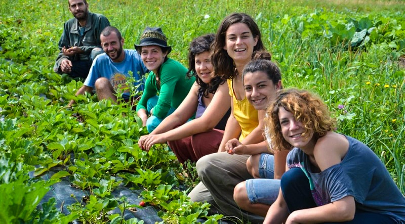 Αγροτουρισμός: Καλλιεργήστε… τουρίστες  στη φάρμα σας
