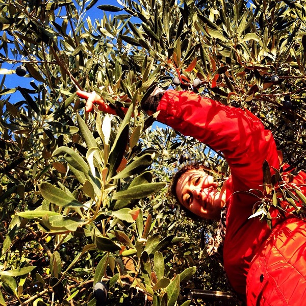 Αγροτουρισμός: Καλλιεργήστε… τουρίστες στη φάρμα σας