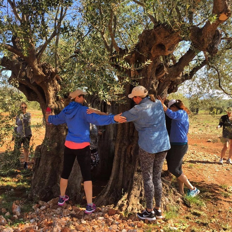 Αγροτουρισμός: Καλλιεργήστε… τουρίστες στη φάρμα σας