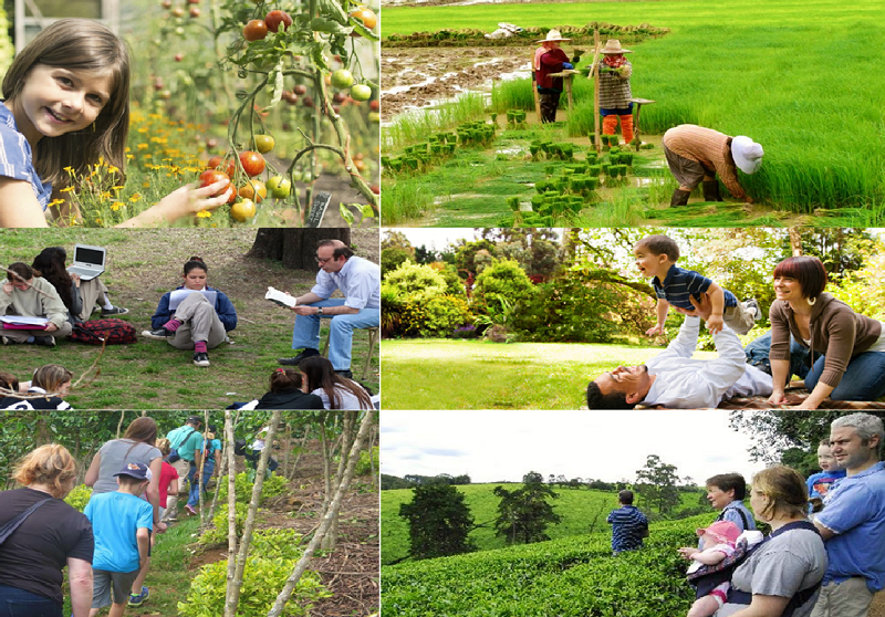 Αγροτουρισμός: Καλλιεργήστε… τουρίστες  στη φάρμα σας