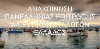 Εκλογές των Αλιευτικών Συλλόγων Ελλάδας στις 16/2 στον Πειραιά