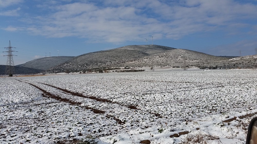 Αμέτρητες οι πληγές της "Αριάδνης" σε Δυτική και Στερεά Ελλάδα