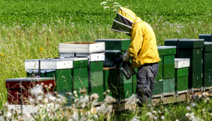 Αναζητείται εθνική στρατηγική για την κτηνοτροφία 