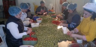 Χαλκιδική: Πρότυπη μονάδα επεξεργασίας γεμιστής ελιάς και πιπεριάς τουρσί