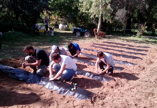 ΕΠΑΣ Συγγρού: Ένα Γεωργικό Λύκειο στο Μαρούσι για τεχνίτες κηποτεχνίας και όχι μόνο