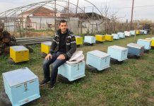 Γ. Χατζόπουλος: Ένας ερασιτέχνης μελισσοκόμος μας μιλά για το ξεκίνημα του