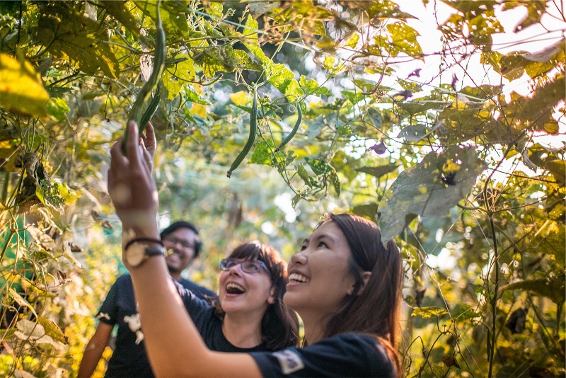 Υπογράφεται η ΚΥΑ για τον αγροτουρισμό δηλώνει στην «ΥΧ» ο Β. Αποστόλου