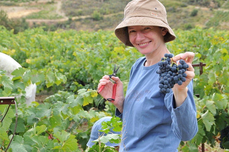 Υπογράφεται η ΚΥΑ για τον αγροτουρισμό δηλώνει στην «ΥΧ» ο Β. Αποστόλου