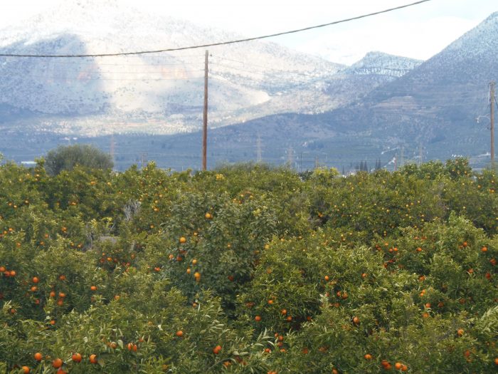 nafplio-ypovoli-diloseon-zimias-logo-pagetou-aningeile-o-dimos-ston-elga-70703
