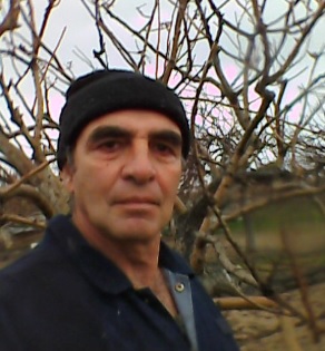 Ο καιρός «διέλυσε» το φιστίκι Αιγίνης