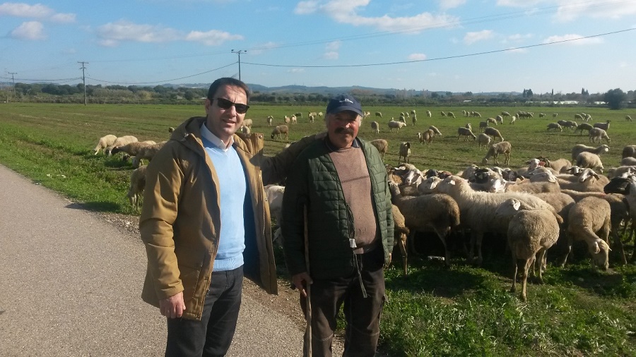 paratasi-ischyos-deltion-emvoliasmou-gia-ton-melitaio-pyreto-72737