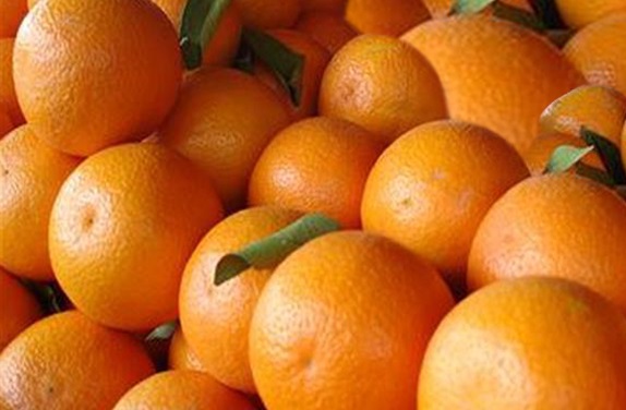 sta-16-lepta-to-kilo-i-timi-paragogou-gia-ta-merlin-tis-artas-72934