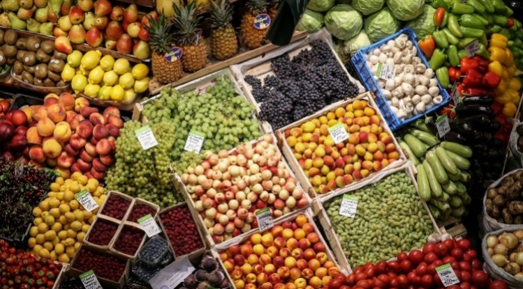 eksagoges-trofimon-poton