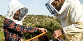 Συνάντηση Τσιρώνη με φορείς για το Νέο Εθνικό Πρόγραμμα Μελισσοκομίας