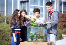 Μαθητές της Αμερικανικής Γεωργικής Σχολής καλλιέργησαν λαχανικά με ενυδρειοπονία