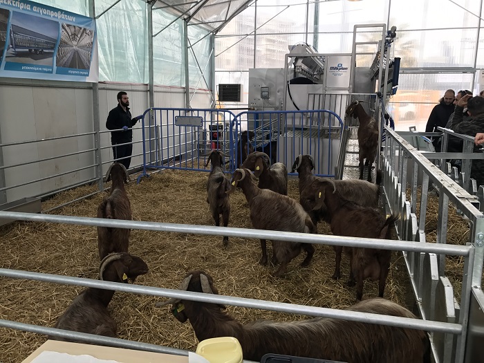 Επιχειρηματικές ευκαιρίες,  ενημέρωση και λύσεις  για τους κτηνοτρόφους 