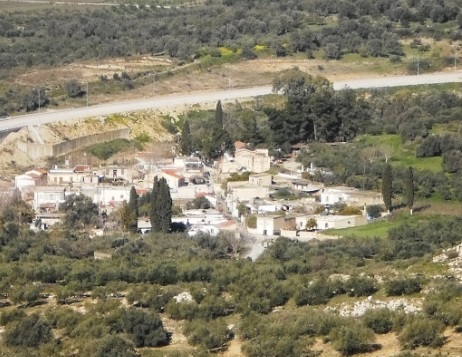 Η Πλουτή της βιολογικής καλλιέργειας: Πάνω από ένα ευρώ διαφορά με το κοινό ελαιόλαδο