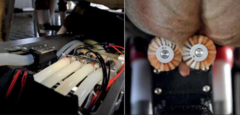 Η ελληνική γαλακτοπαραγωγή  μπήκε σε hi tech μονοπάτια