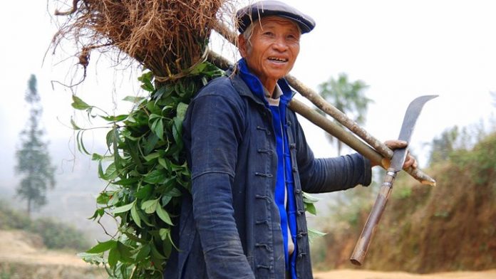 Επενδύσεις 500 δισ. δολ. από την Κίνα για αναβάθμιση αγροτικών περιοχών