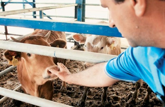 Με καθεστώς μισθωτού μετακλητοί και εποχικά εργαζόμενοι σε στάβλους Με καθεστώς μισθωτού μετακλητοί και εποχικά εργαζόμενοι σε στάβλους