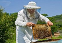 Ανοίγουν τα προγράμματα Μελισσοκομίας. Δείτε όλες τις ημερομηνίες και τα δικαιολογητικά
