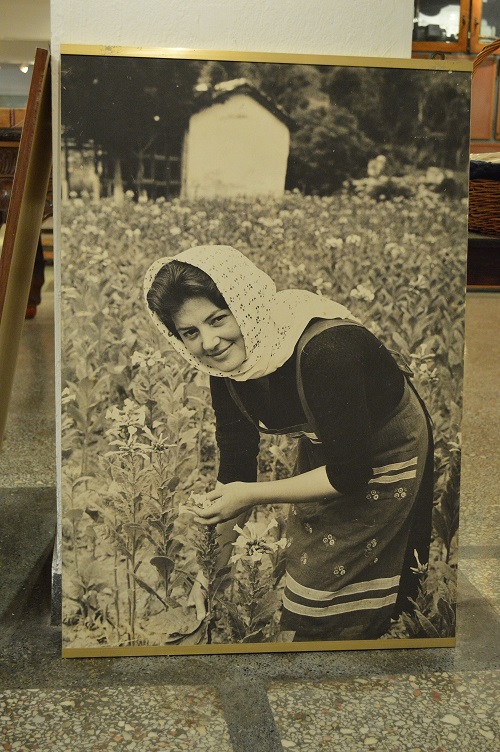 Μουσείο Καπνού Καβάλας: Τσιγάρο ατέλειωτο… η ιστορία του καπνού