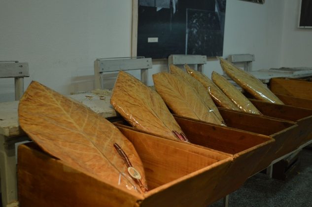 Μουσείο Καπνού Καβάλας: Τσιγάρο ατέλειωτο… η ιστορία του καπνού