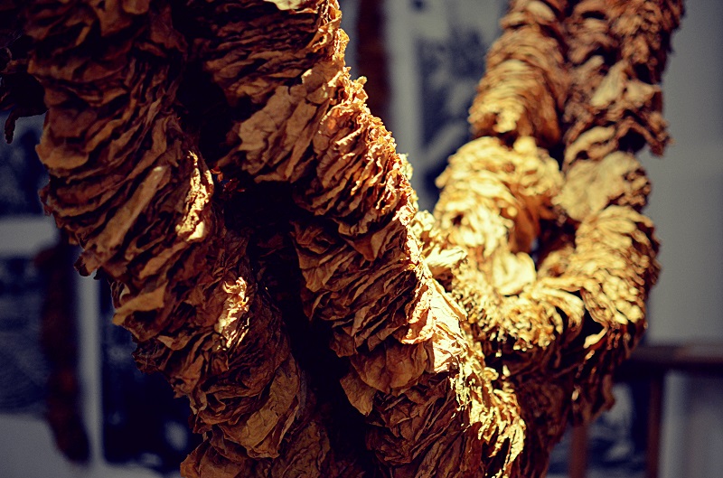 Μουσείο Καπνού Καβάλας: Τσιγάρο ατέλειωτο… η ιστορία του καπνού