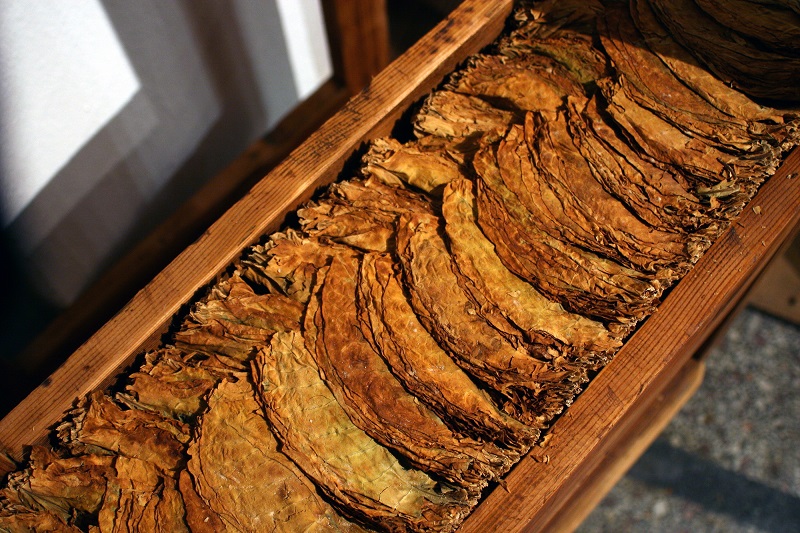 Μουσείο Καπνού Καβάλας: Τσιγάρο ατέλειωτο… η ιστορία του καπνού