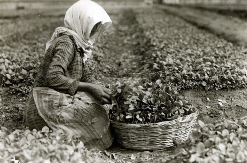 Μουσείο Καπνού Καβάλας: Τσιγάρο ατέλειωτο… η ιστορία του καπνού