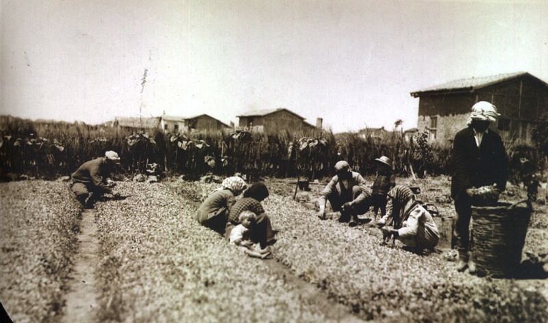 Μουσείο Καπνού Καβάλας: Τσιγάρο ατέλειωτο… η ιστορία του καπνού