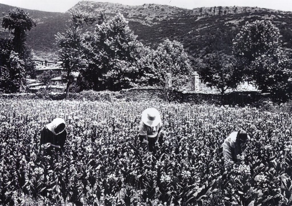 Μουσείο Καπνού Καβάλας: Τσιγάρο ατέλειωτο… η ιστορία του καπνού