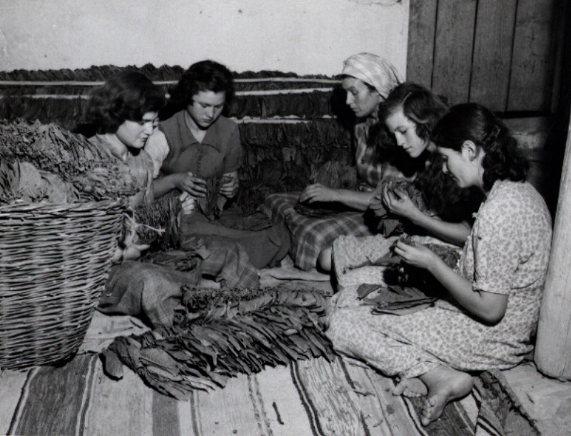 Μουσείο Καπνού Καβάλας: Τσιγάρο ατέλειωτο… η ιστορία του καπνού