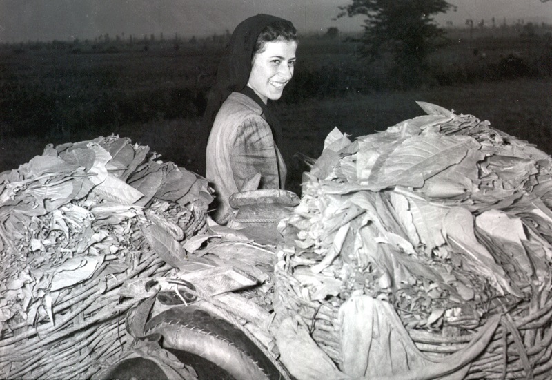 Μουσείο Καπνού Καβάλας: Τσιγάρο ατέλειωτο… η ιστορία του καπνού