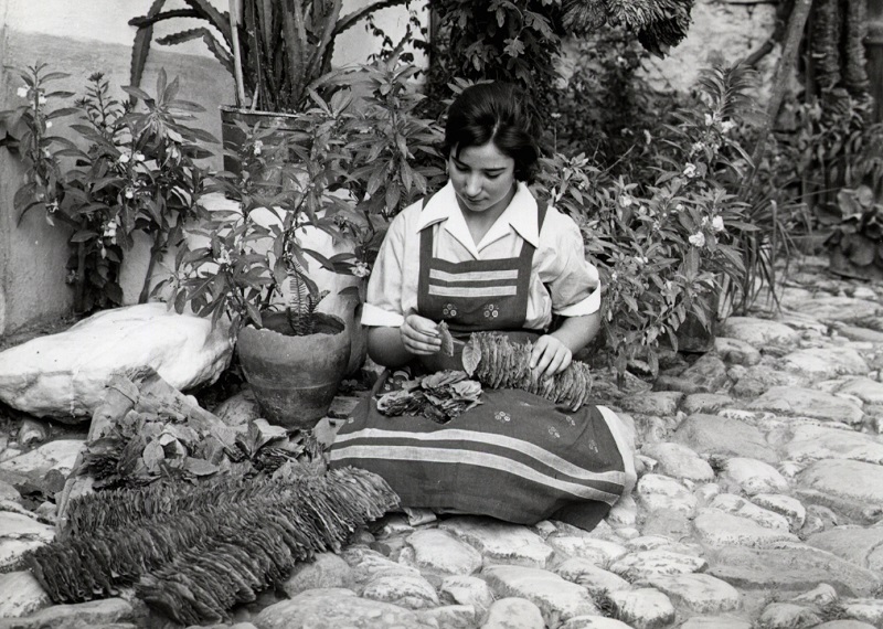 Μουσείο Καπνού Καβάλας: Τσιγάρο ατέλειωτο… η ιστορία του καπνού