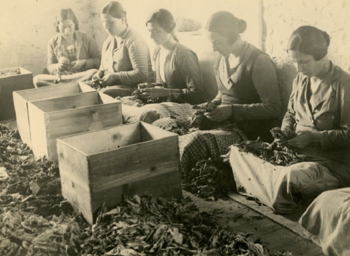 Μουσείο Καπνού Καβάλας: Τσιγάρο ατέλειωτο… η ιστορία του καπνού