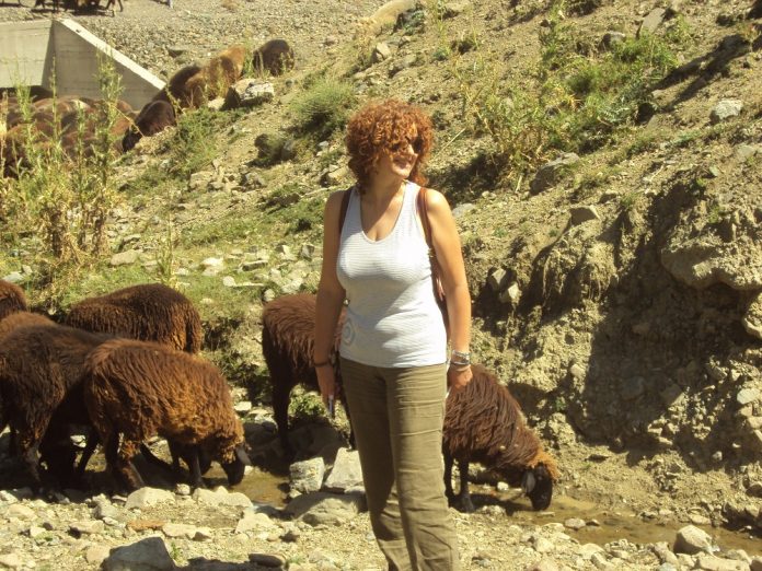 Πρόβειο γάλα με αυξημένα Ω3 και Ω6 Πρόβειο γάλα με αυξημένα Ω3 και Ω6