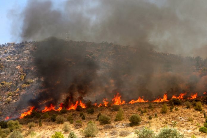 Ανύπαρκτη η διαχείριση των δασών επισημαίνει το ΓΕΩΤΕΕ Κρήτης Ανύπαρκτη η διαχείριση των δασών επισημαίνει το ΓΕΩΤΕΕ Κρήτης