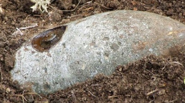 schedio-ekkenosis-sto-kordelio-gia-tin-exoudeterosi-vomvas-tha-apomakrynthoun-62-000-anthropoi-74499