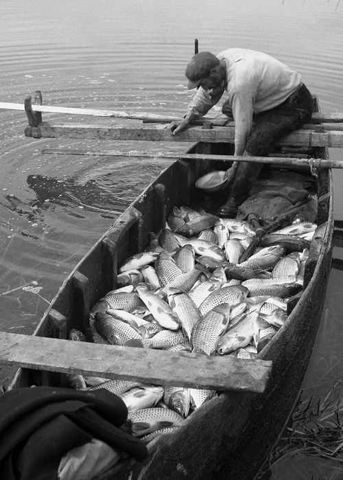 Υδάτινες διαδρομές στη Λίμνη Κάρλα μέσα από τα καρέ του Τάκη Τλούπα και του Βαγγέλη Ξένου