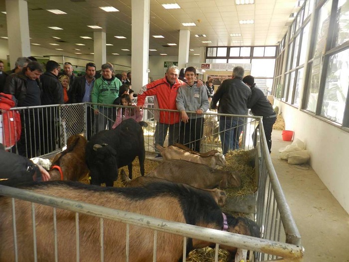 Κτηνοτροφία και πτηνοτροφία σε πρώτο πλάνο