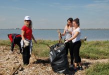 Δέλτα Αξιού: 7η Εκστρατεία Εθελοντικών Καθαρισμών
