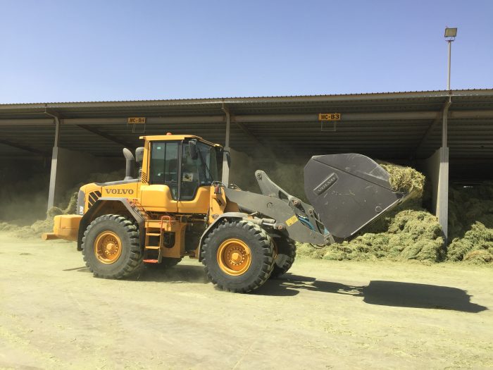 aggelades-saoudiki-aravia4